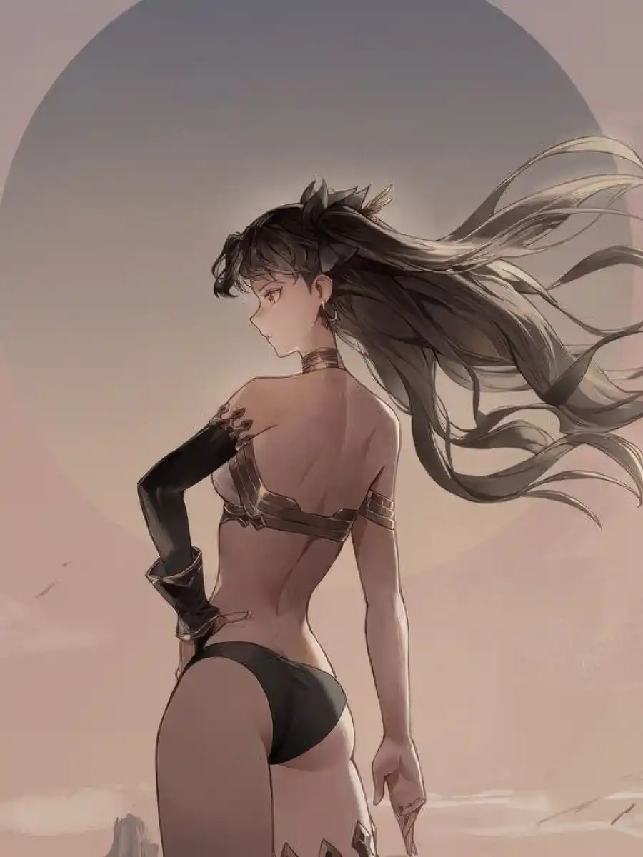 Game Developer : Starting with Fate series